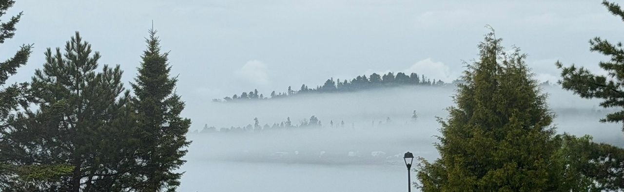 An electrical hookup post between two boulders, framed by evergreens, with fog lying over the water and a wooded ridge rising above it