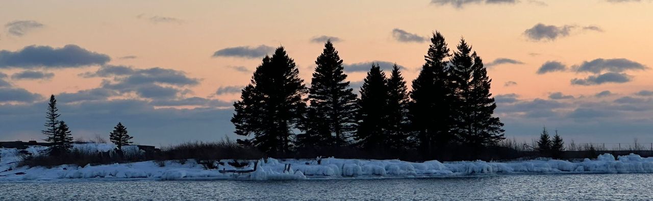 A clump of spruce trees in silhouette on a snowy shoreline at dusk, with choppy water in front and a pale orange sky behind